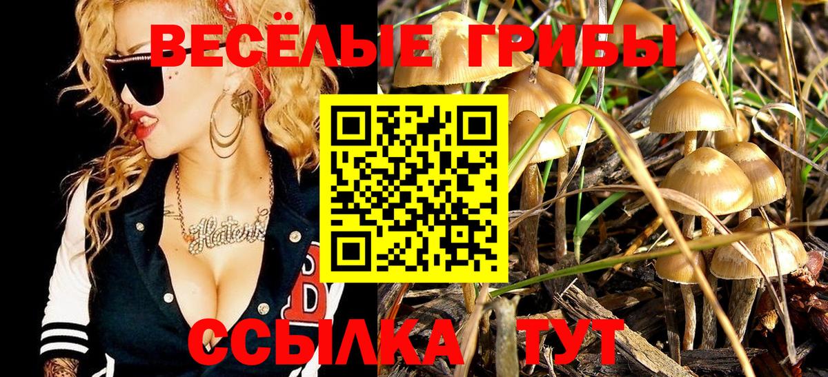 Псилоцибиновые грибы Magic Shrooms  Псилоцибиновые грибы GOLDEN TEACHER  Вход с VPN  Вязники 