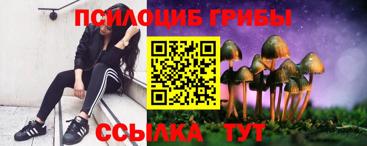 Галлюциногенные грибы мухоморы Вязники
